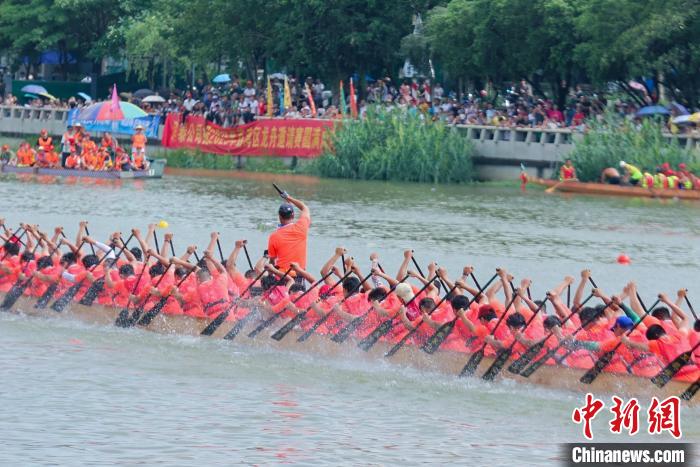 近30支广佛龙舟队竞渡沙溪：演绎水上速度与激情